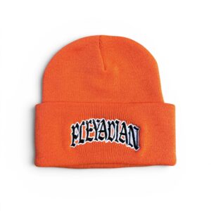 99 Beanie